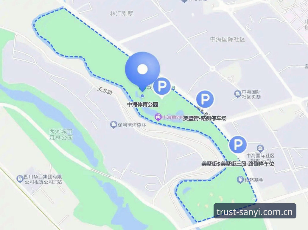 三亿体育平台功能与使用完整指南：从注册到赛事投注的深度评测